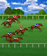 Royal Derby on Mobile